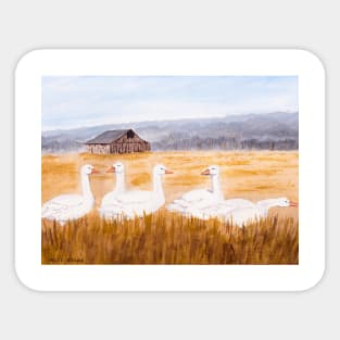 Geese at the Farm Sticker